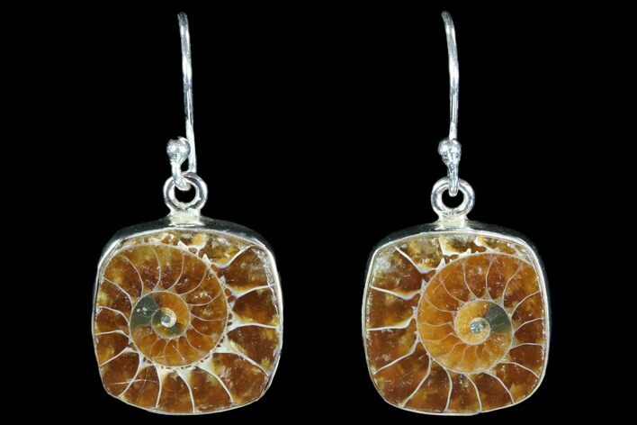 Fossil Ammonite Earrings - Sterling Silver #82249